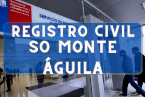 Registro Civil  en SO Monte Águila: Oficinas, horarios y como Pedir Hora en 2024