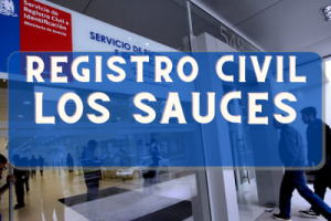 Registro Civil  en Los Sauces: Oficinas, horarios y como Pedir Hora en 2024